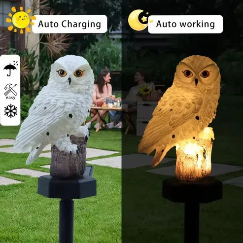 🦉 Brighten up your garden paths today with solar-powered owl path lights!
