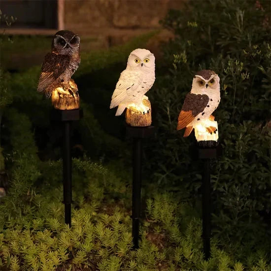 🦉 Brighten up your garden paths today with solar-powered owl path lights!