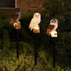 🦉 Brighten up your garden paths today with solar-powered owl path lights!