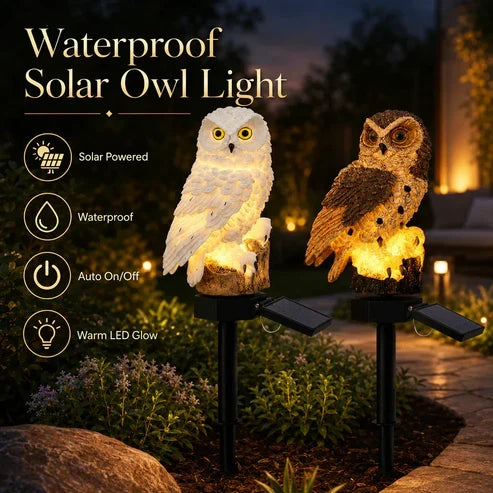 🦉 Brighten up your garden paths today with solar-powered owl path lights!
